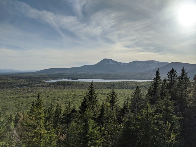 Sweeping view of forests with Katahdin in the distance