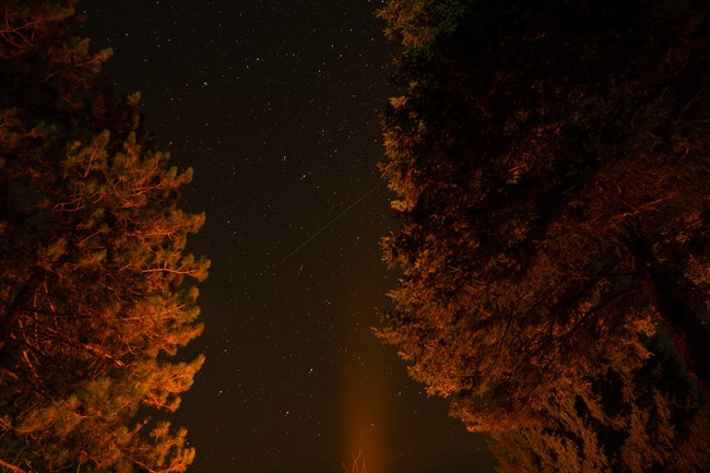 Campfire sparks rise up into the night sky bordered by trees.
