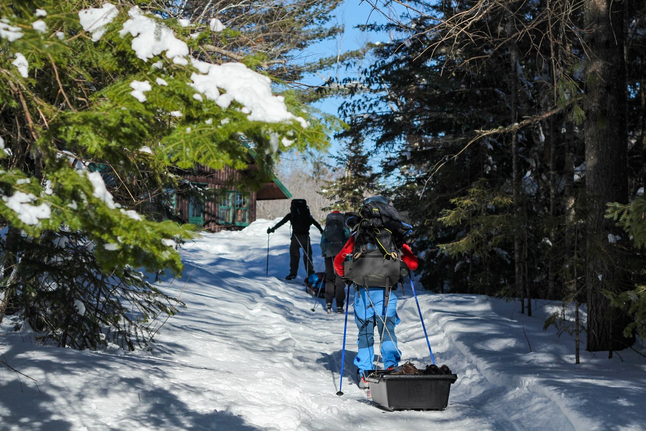 Visitors cross country ski on a snow covered trail.