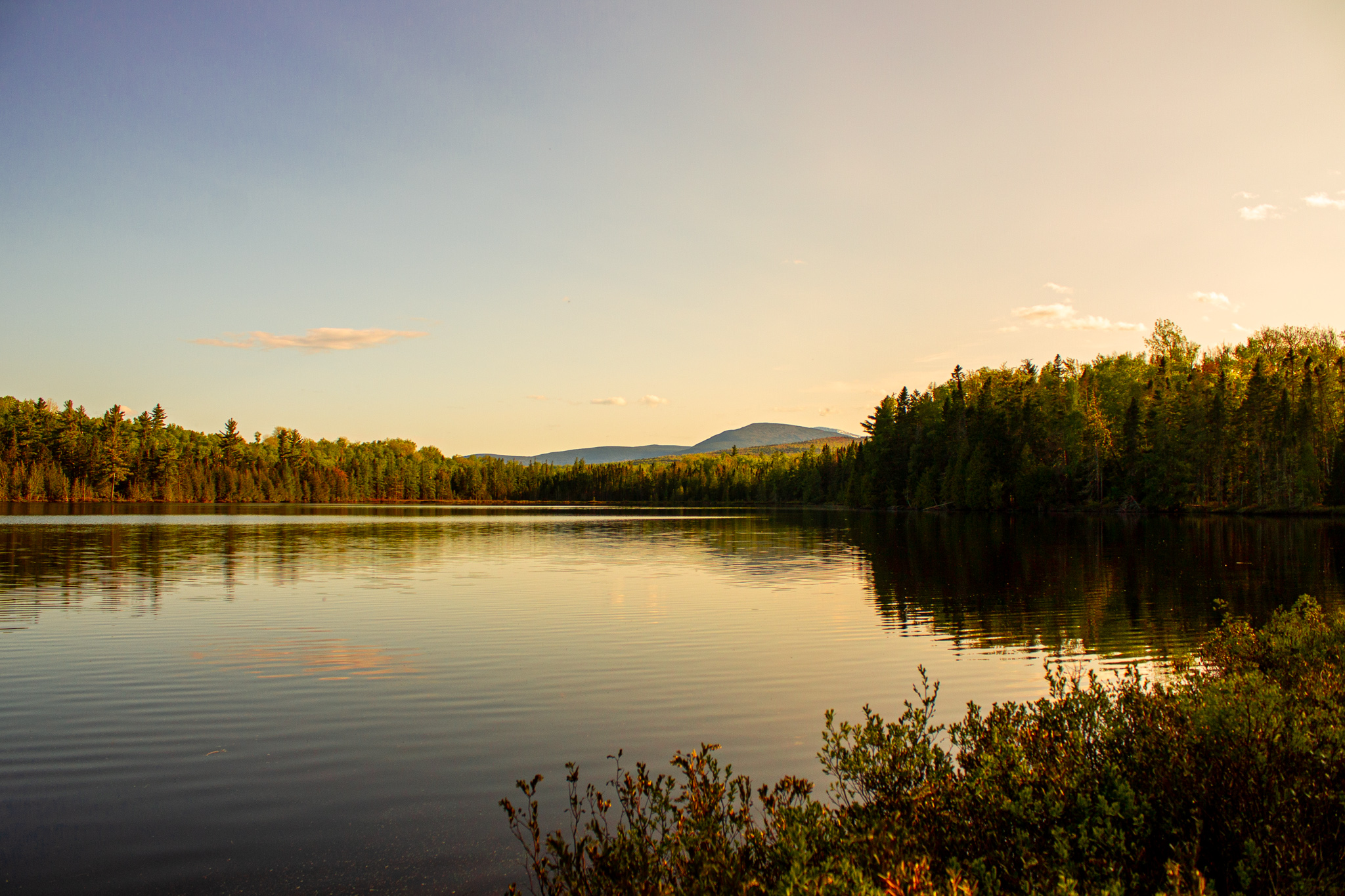 little-messer-pond-katahdin-woods-and-waters-national-monument-u-s