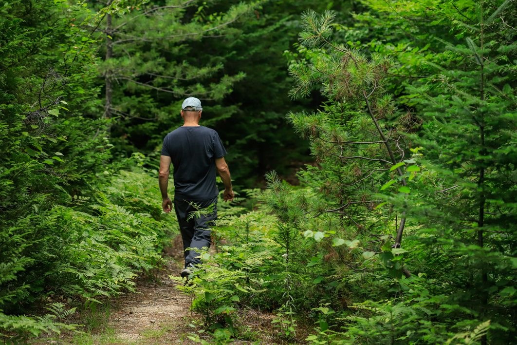 A man hiking on a dirt trail in the woods framed with tall ferns and trees.