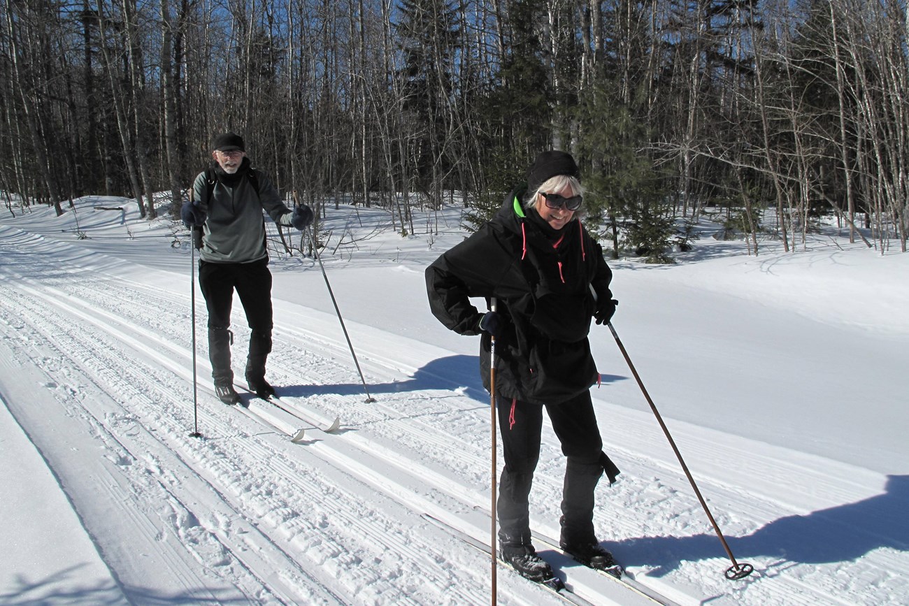 Two people cross-country skiing on a sunny wooded trail