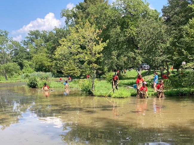 Volunteers removing invasive species from a pond.