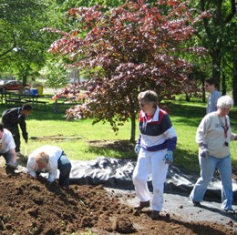Volunteers work in the soil Volunteers work in the soil