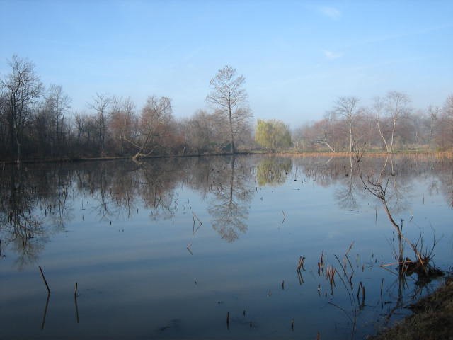 pond