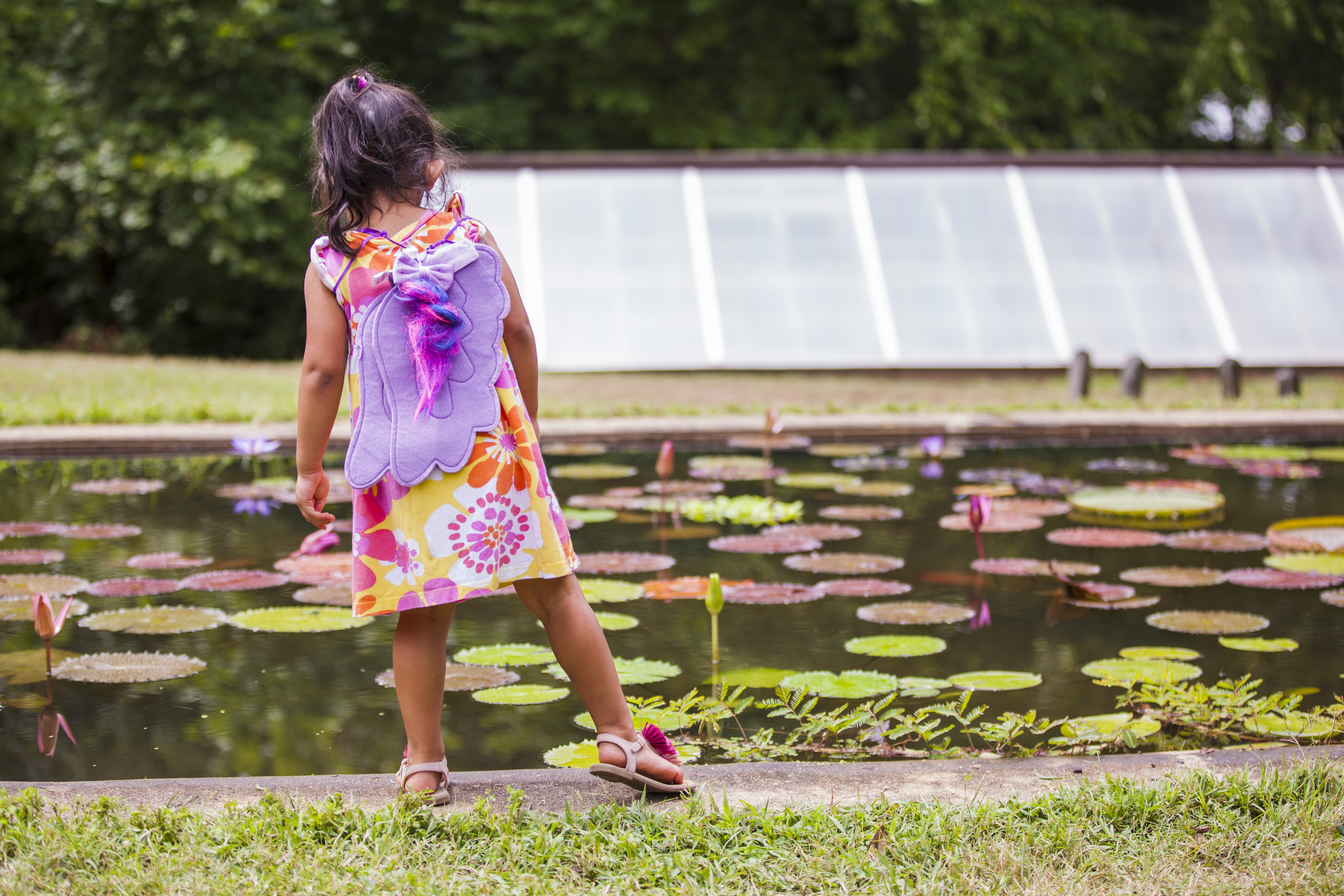 NACE_KEAQ_2018LotusAndWaterLilyFestival_RH_20180722_030 Girl views lilies