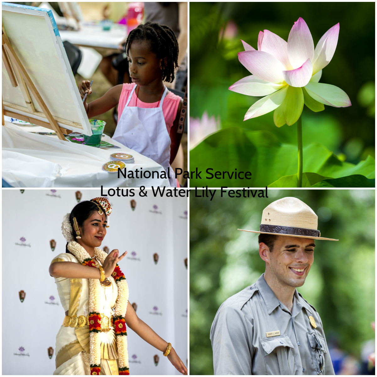 Lotus and Water Lily Festival