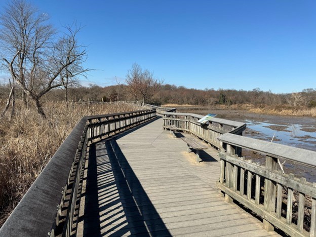 1 boardwalk picture