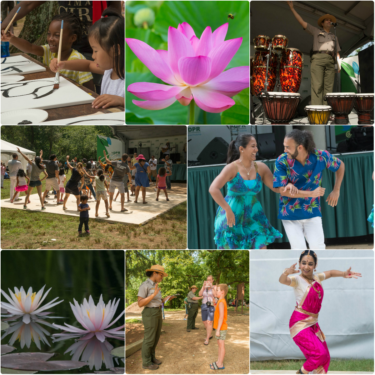 Lotus and Water Lily Festival Kenilworth Park & Aquatic Gardens (U.S
