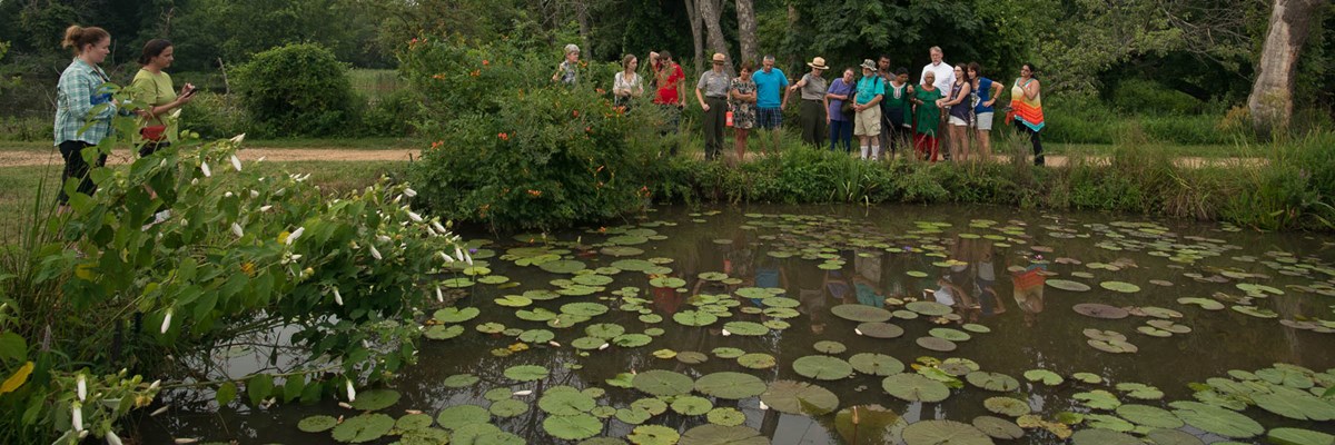 Ranger shows water lily pond to interested tour group Ranger shows water lily pond to interested tour group