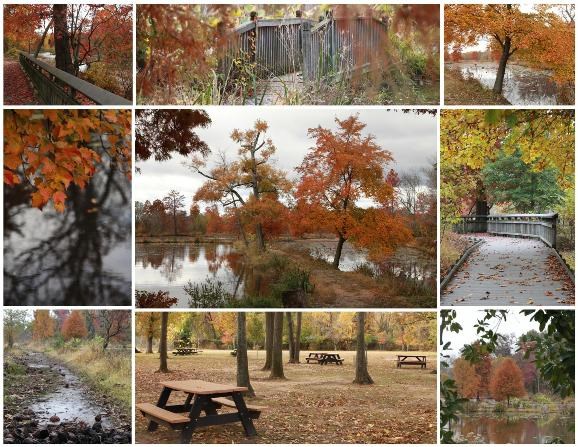 Fall Mix WEB