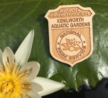 Jr Ranger badge Icon