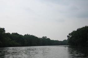 A bend in the river. A bend in the river.