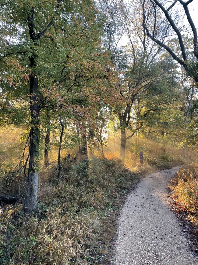 The River trail connects Kenilworth Aquatic Gardens to the Anacostia Bike Trail.