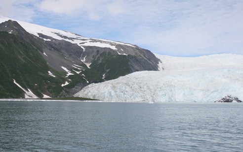 Aialik Glacier 2013