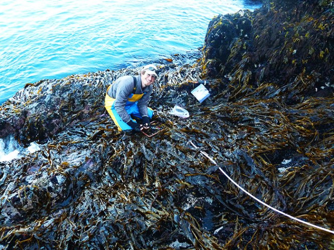 A park technician kneels on a beach covered in seaweed, and smiles up at the camera. 