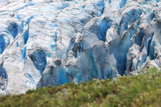 Exit Glacier