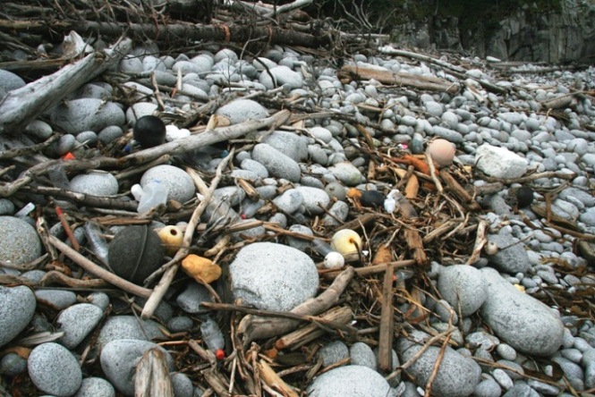 A rocky beach in Kenai Fjords. 