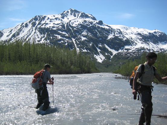 Exit Creek Crossing