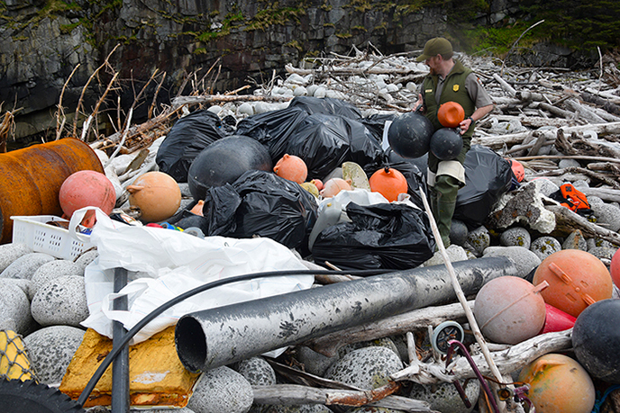 Clean up on Black Bay’s “basketball beach.” Notice the very round and large rocks the debris is on. Alaska SeaLife Center Photo, J. Bering