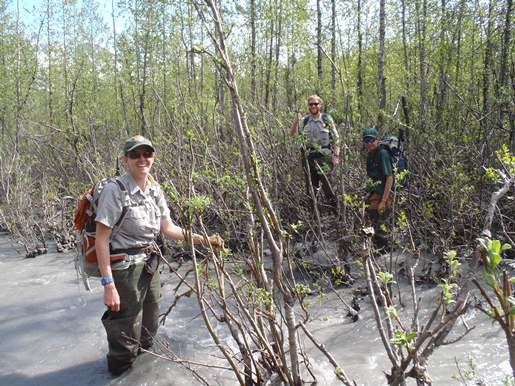 Outwash Plain Bushwhacking