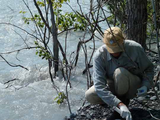 Exit Creek water chemistry