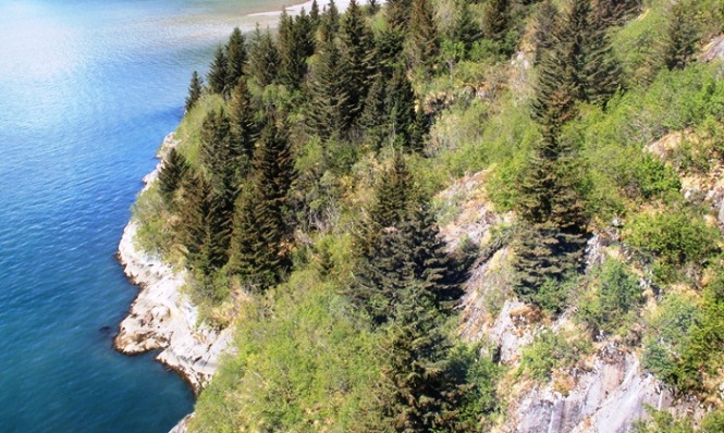 View of coastline of Kenai Fjords National Park from helicopter. 