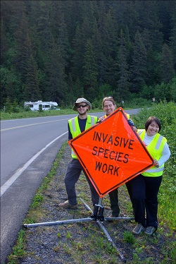 We set up signs to warn traffic while we were pulling weeds.
