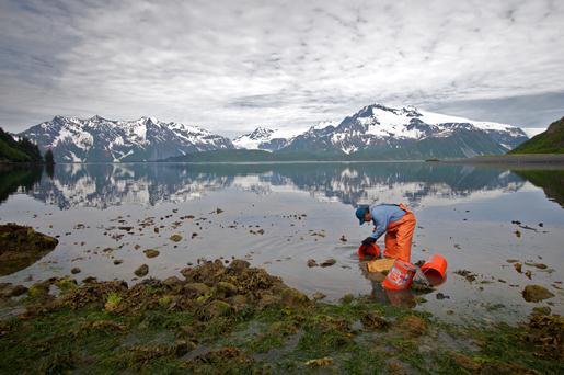 Nearshore Monitoring