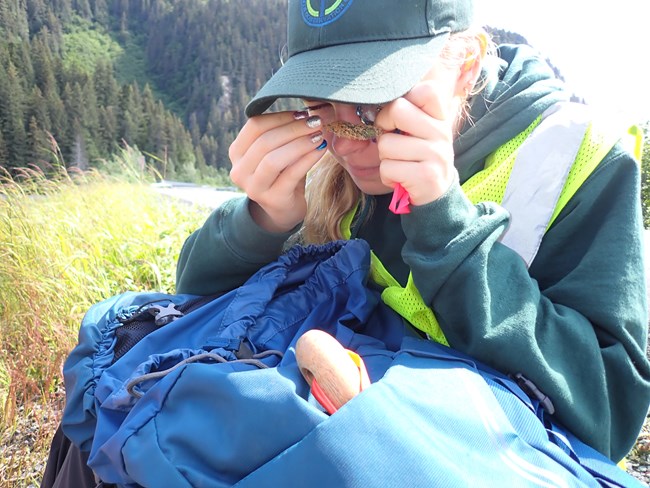 Youth employee uses a microscope to examine a plant up close.