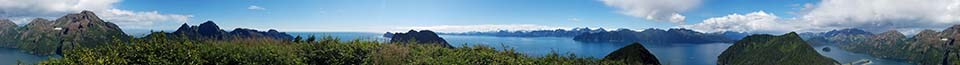 Panoramic photo of mountains and ocean.