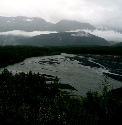 Water flowing across Exit Glacier's outwash plain.
