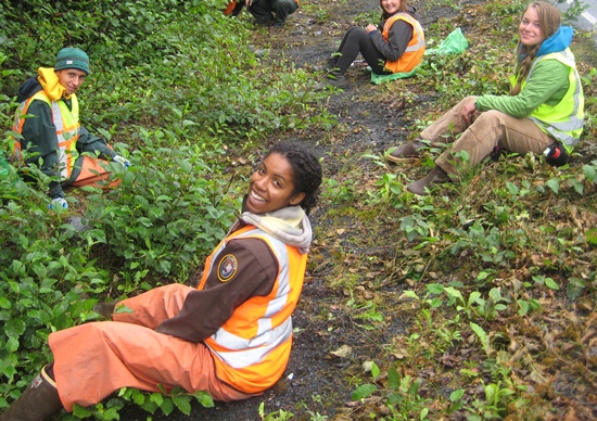 Exotic Plan Management Team controlling invasives along the Herman Leirer Road.