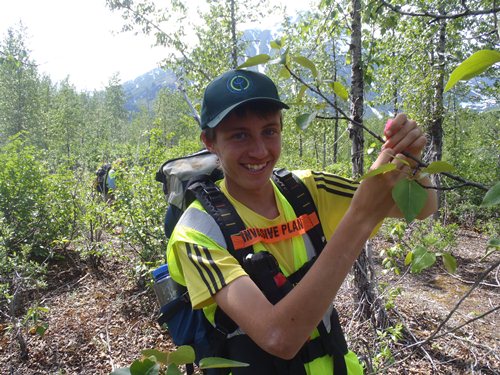 Miles working at Exit Glacier