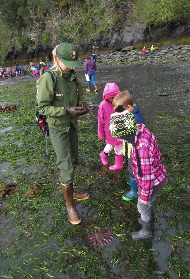 A park ranger talking to a student on a beach