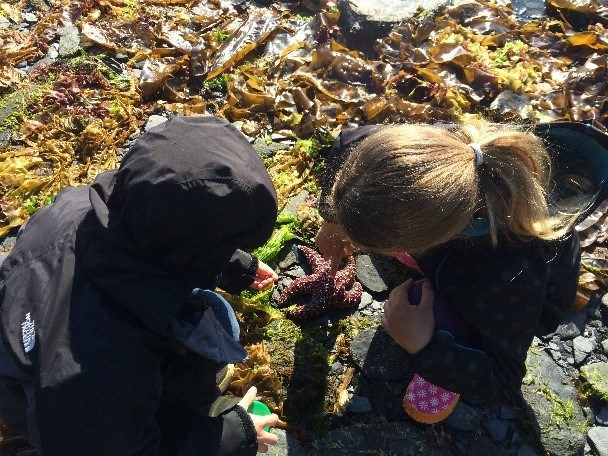 Two children looking at a sea star on a seaweed covered beach