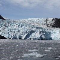 Aialik Glacier