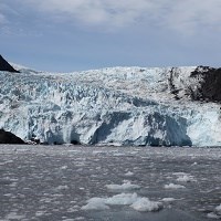 Aialik Glacier, a tidewater glacier in Aialik Bay.