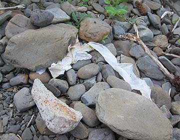 Used tissue paper partially covered by some rocks.