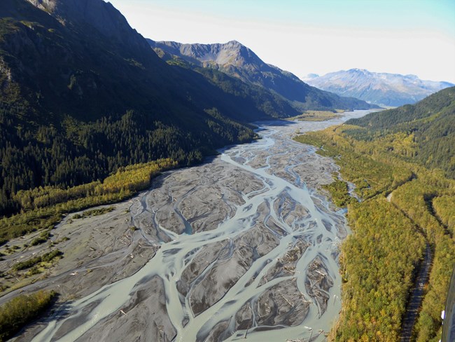 An area of rocks and sand in between two mountains covered in trees.  The sandy area has a river that runs through it.  The river is braided in many different channels.