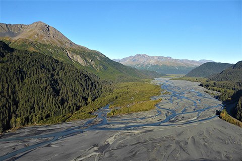 A flat sandy area with many braids of a river running through it. On either side of the sandy area are mountains covered in conifer trees.