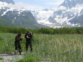 Invasive Plant Survey