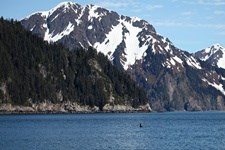Coastline of Kenai Fjords