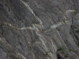 quartz seams in the bedrock at Kenai Fjords National Park