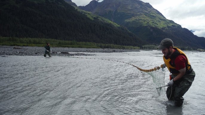 Seining photo_with press release (686x386)