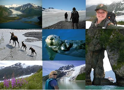 Collage of images from Kenai Fjords National Park