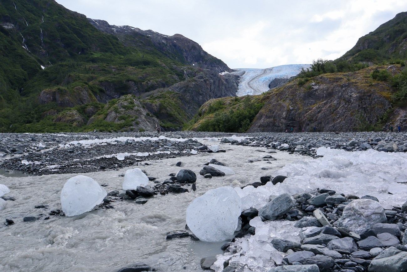 Chunks of glacier ice line a creek from Exit Glacier