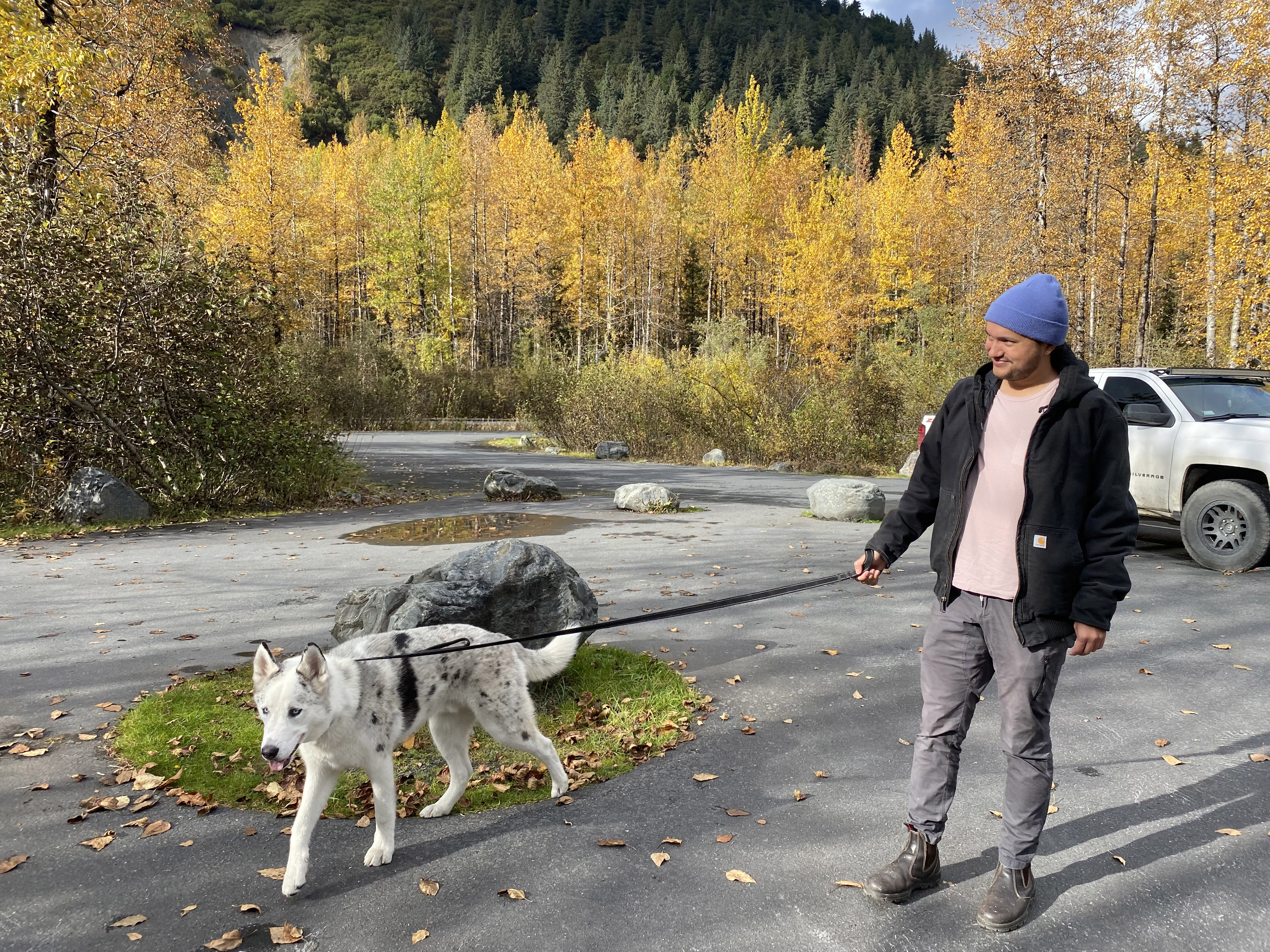 Pets - Kenai Fjords National Park (U.S. National Park Service)