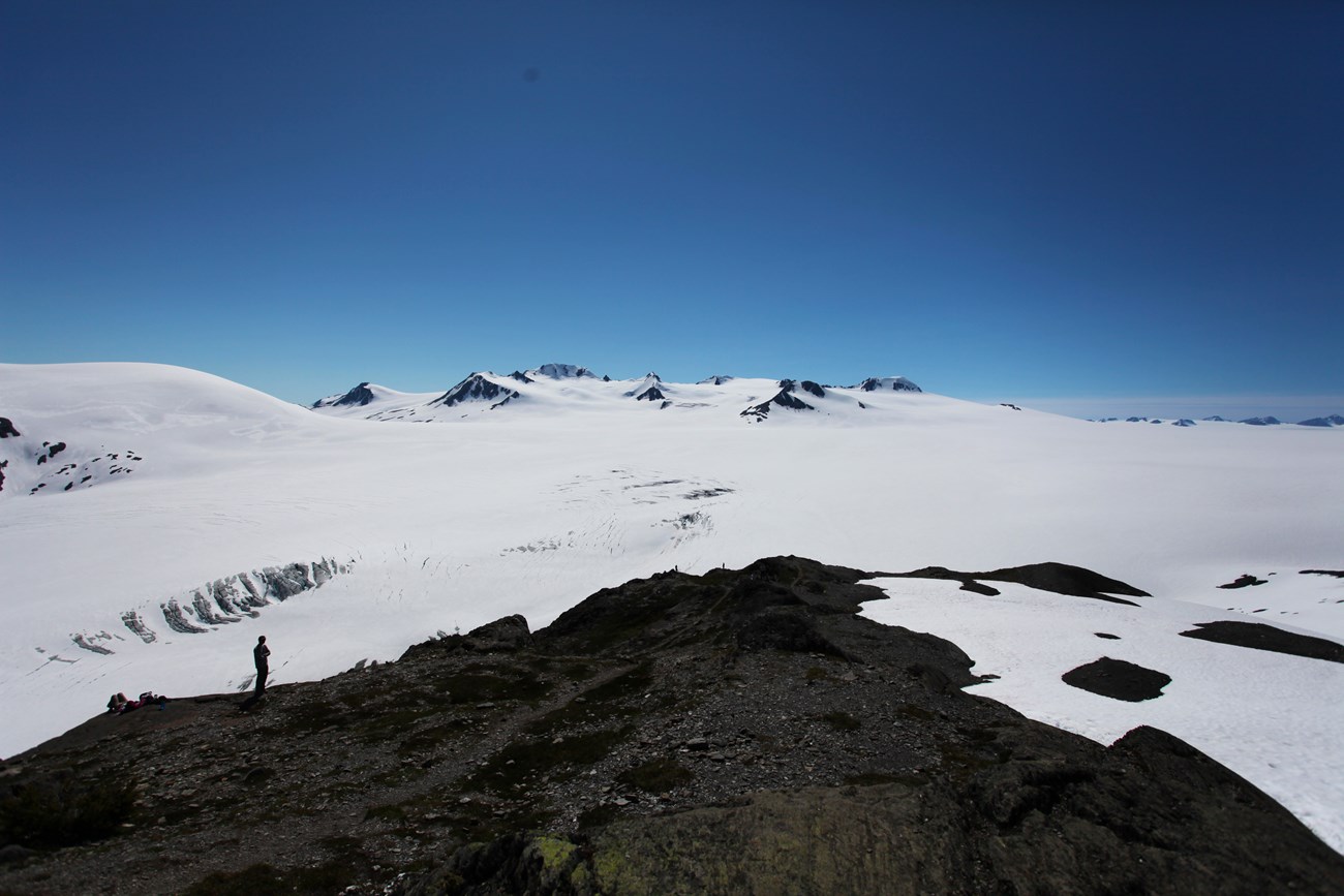 A person looks at a wide view of an icefield with mountains sticking out from the ice