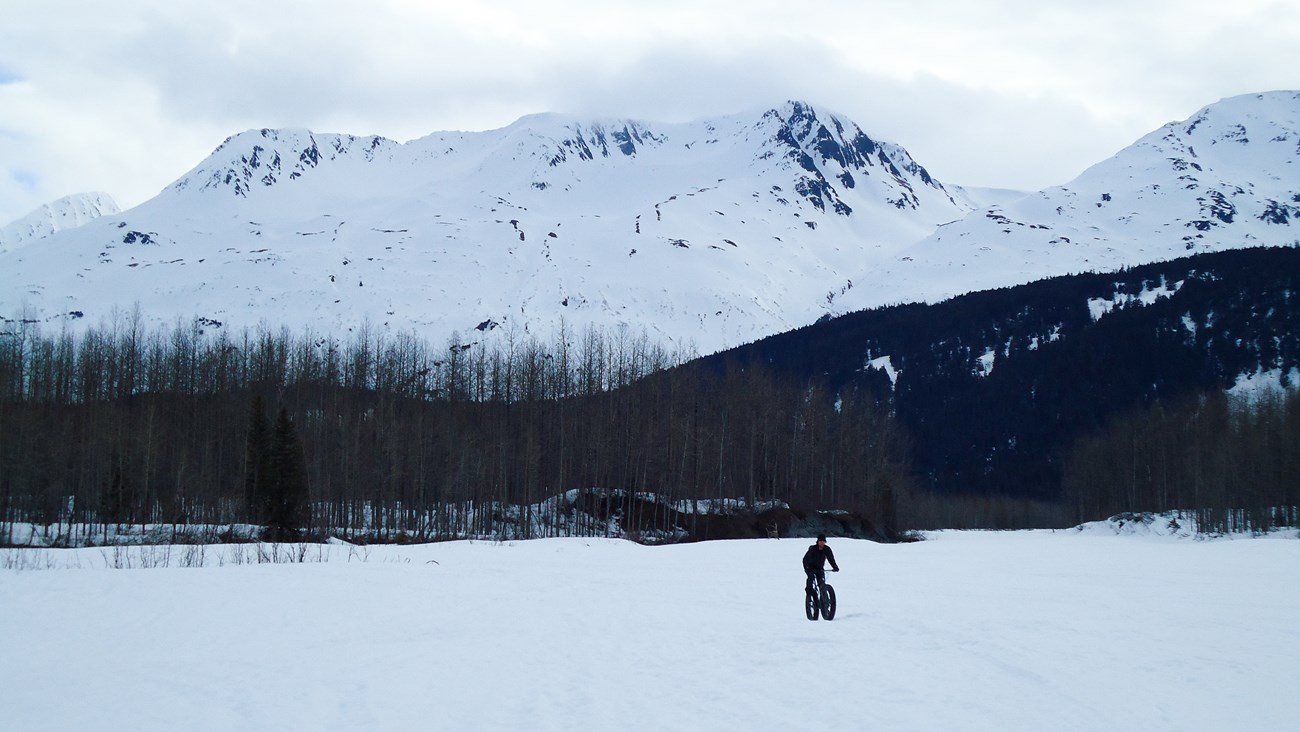 A person uses a "fat tire" bike over snow-covered valley
